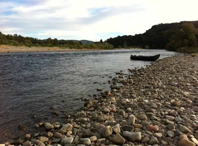 Corporate Salmon Fishing