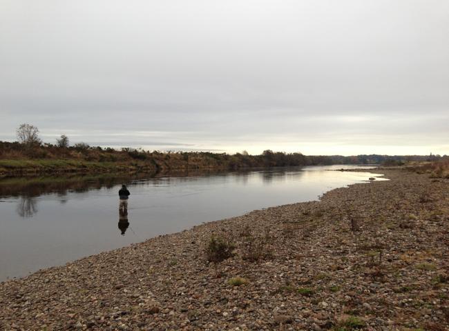River Tay Salmon Fishing