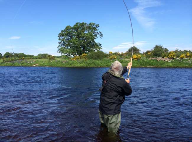 Catching River Tay Salmon