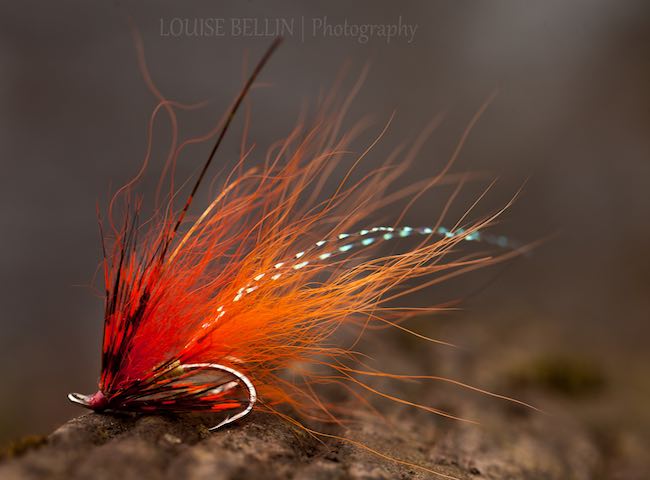 Fishing The Salmon Fly