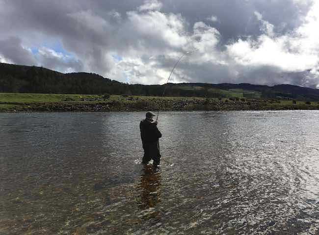 Playing A River Tay Salmon