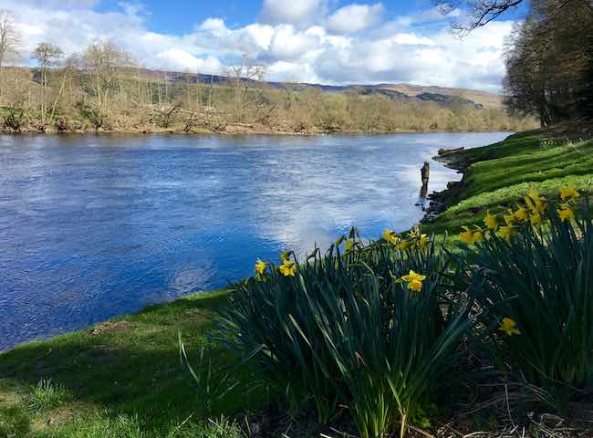 Catching Spring Salmon On The River Tay