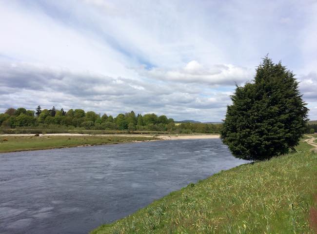 Salmon Rivers Of Scotland