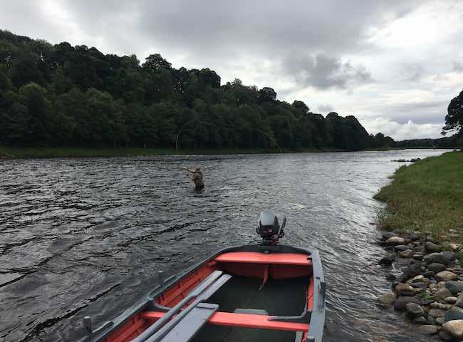 Fly Fishing On The River Tay