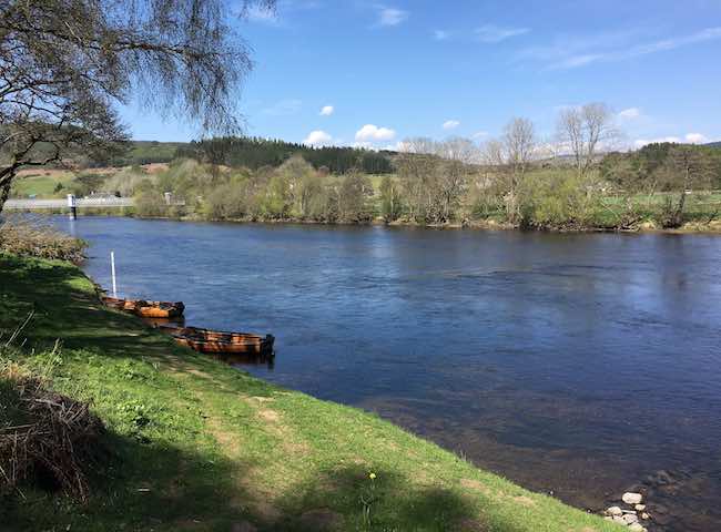 Spring Salmon Fishing Events