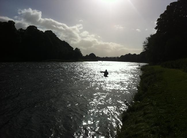 Perfect Scottish Riverbank Ambiance