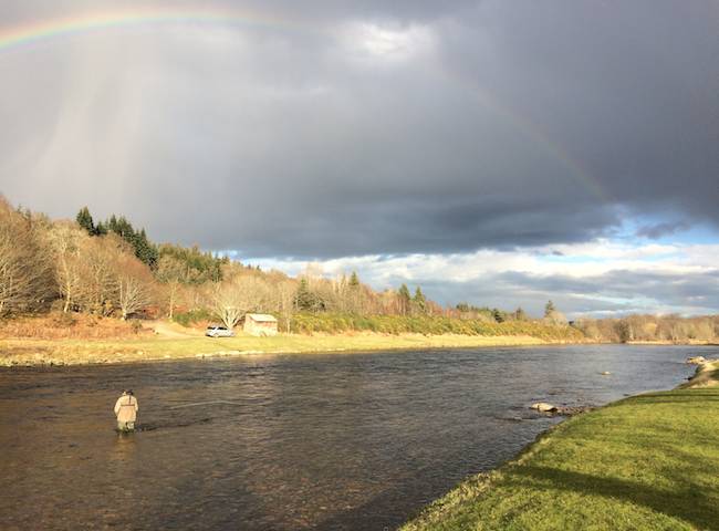 Salmon Fishing Beauty