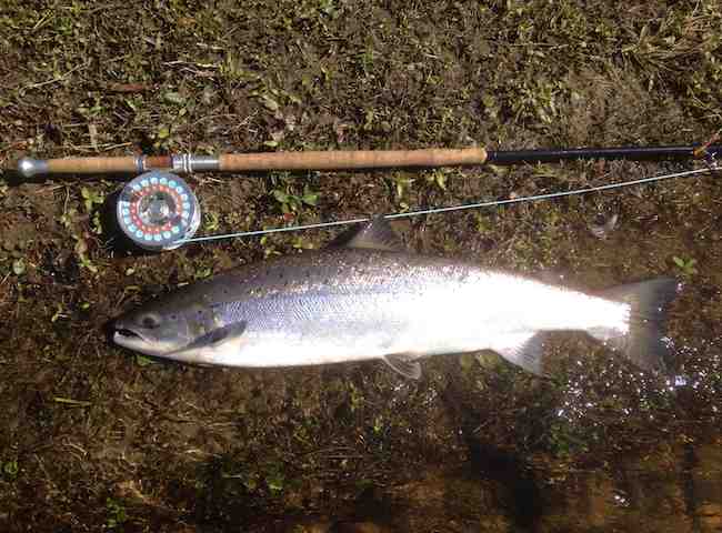 Fly Fishing Events