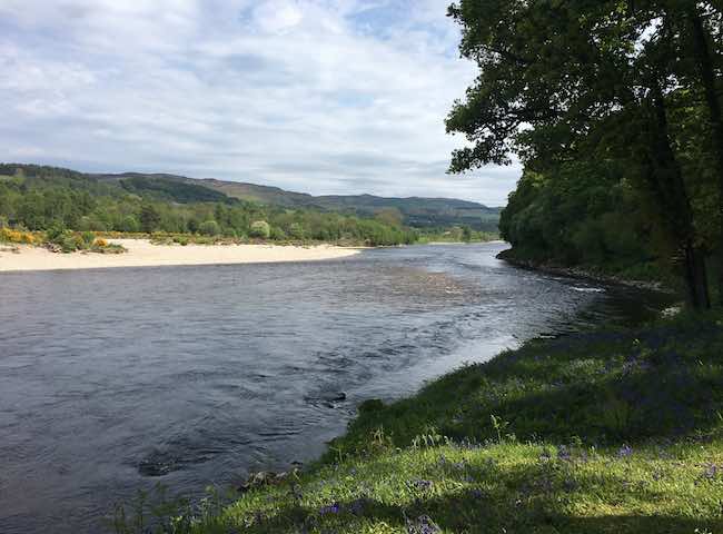 Fishing Events On The River Tay
