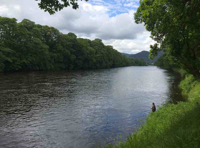 River Tay Salmon Fishing