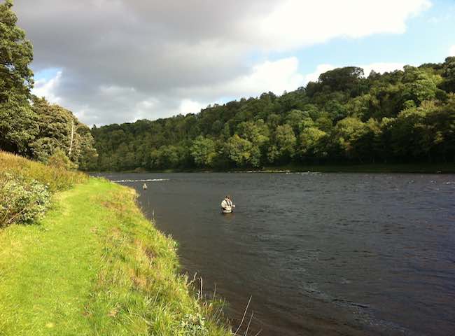Book A Salmon Fishing Event