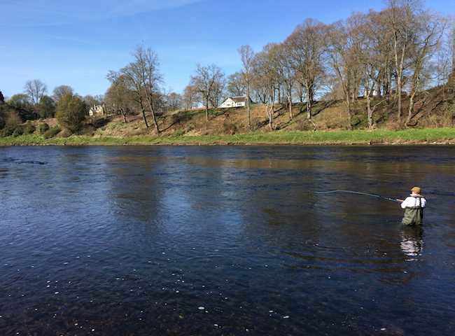 Scottish Salmon Fishing