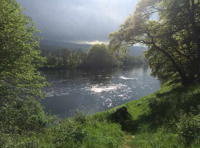 The Natural Scottish Pursuit