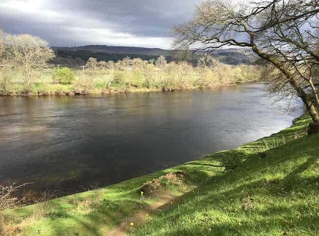 Mother Nature's River Beauty