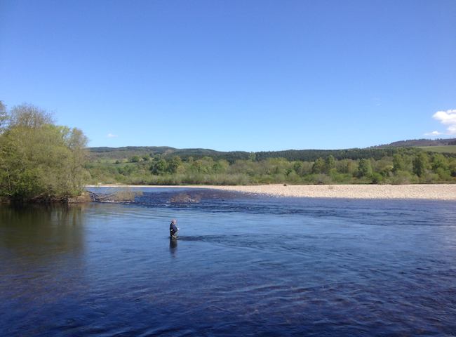 The Best River Tay Salmon Fishing Venues