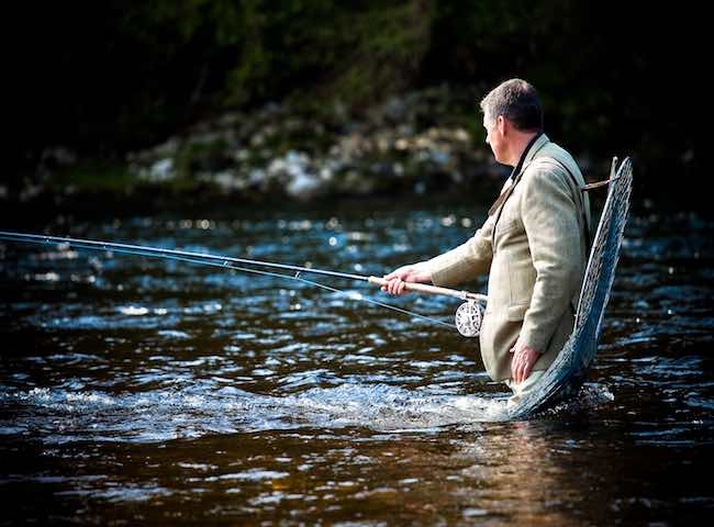 River Tay Professionals