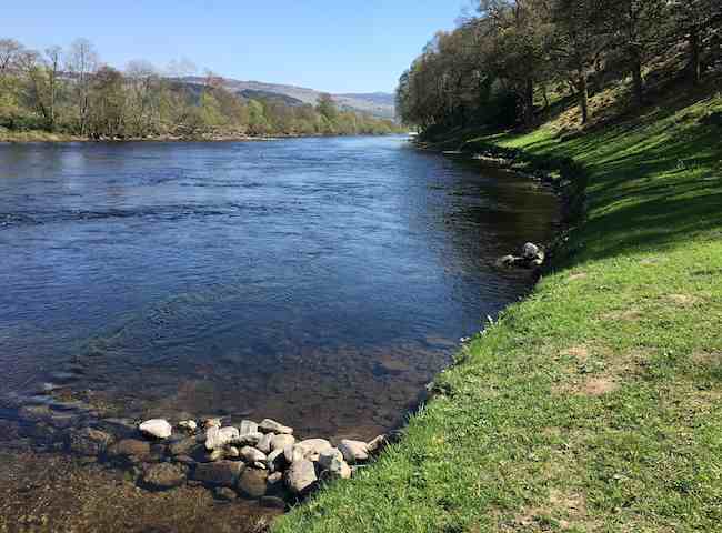 River Tay Salmon Beauty