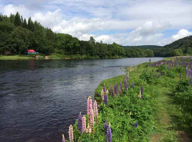 River Tay Magnificence