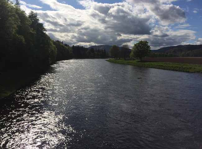 Famous River Tay Salmon Beats