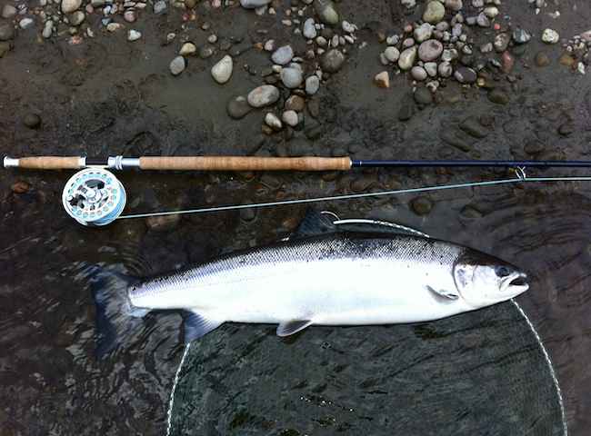 Spring Salmon Fishing Success