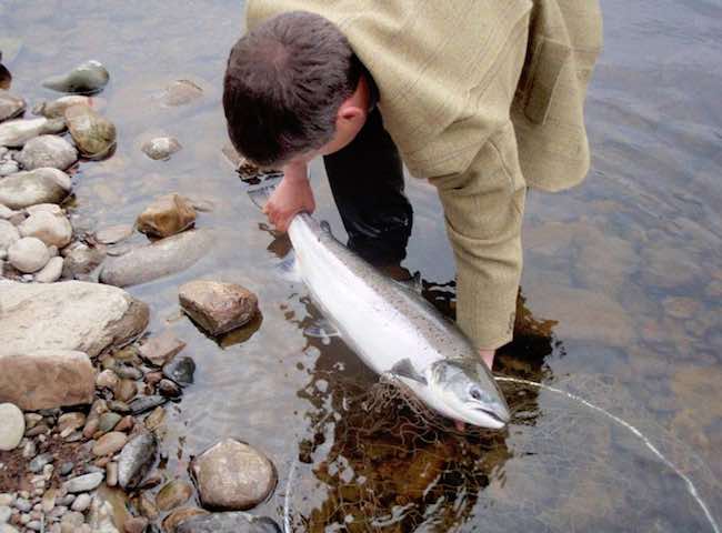 2023 Corporate Salmon Fishing