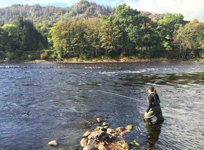 Learning To Fish For Salmon