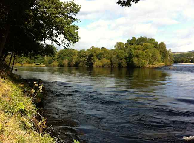 River Tay Fishing Events