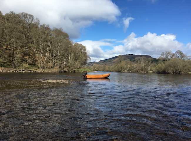 Spring Beauty On The River Tay