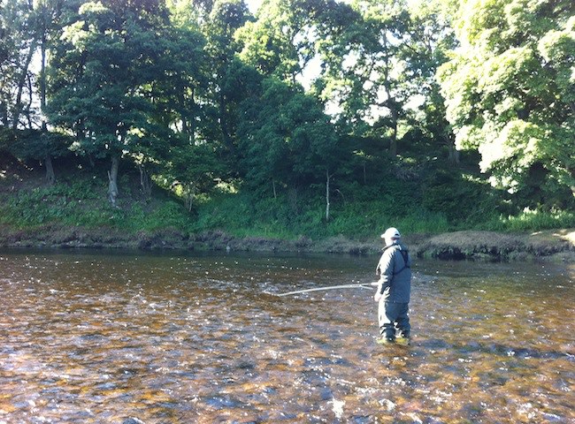 Fly Fishing The River Tay