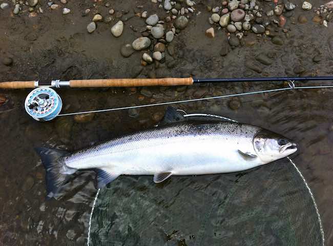 Salmon Fishing Event Success