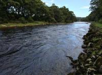 The Perfect Scottish Salmon Rivers 
