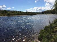 Salmon Fishing Perfection 
