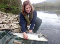 Taking Care Of Your Salmon 
