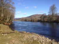 The River Tay During Spring 