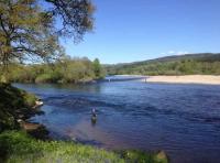 The Perfect Setting for A Fishing Event 
