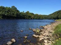 The Perfect Samon Fishing Scene 

