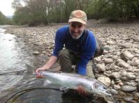 Fine Spring Salmon From The River Tummel 
