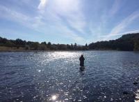 Out Salmon Fishing On The Rivers Of Scotland 

