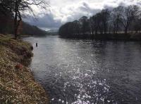 Salmon Fishing Conditions 
