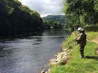Spin Fishing On The River Tay 
