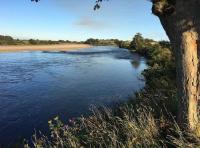 Salmon Fishing Events On The Tay 
