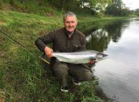 Salmon From The River Tay 
