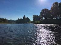 The Scottish River Environment 
