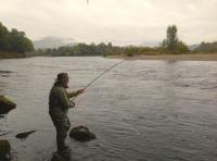 The Best Fly Rod Action Of All 
