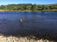 Fly Fishing The River Tay 

