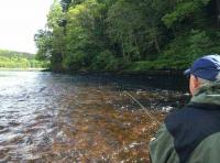 Scottish Salmon Fishing Tactics 
