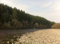 Fishing The Fly On The River Tay 
