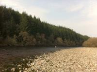 Fishing The Fly On The River Tay 
