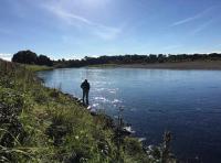 Perfect Salmon Fly Fishing Water 
