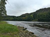High Water Salmon Lies 
